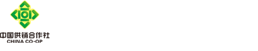 动漫
