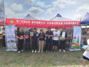 图片11