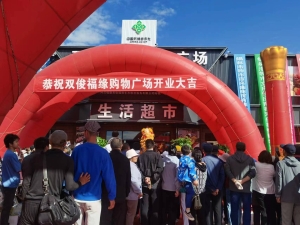 图片12