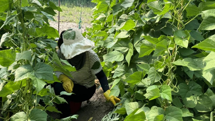 “流动供销”进社区 惠民助农新体验