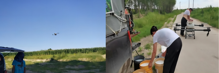 科左后旗供销社开展无人机一喷多促作业助力灾后秋粮保产增收