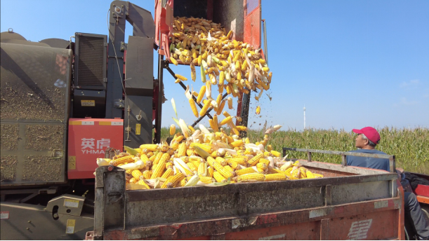 扎鲁特旗供销社护航“三秋”