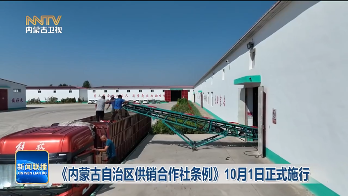 DM_20250814114943_001