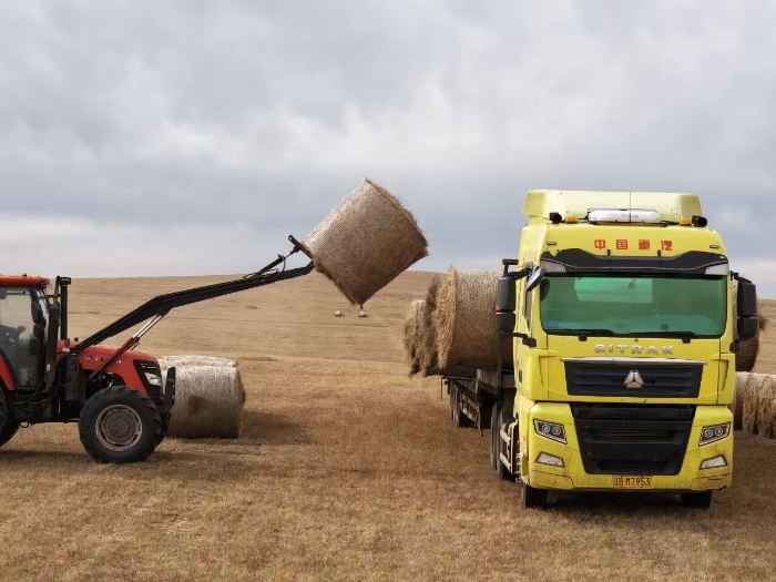 93ce170787b936c0f2843c9b345d8fb3